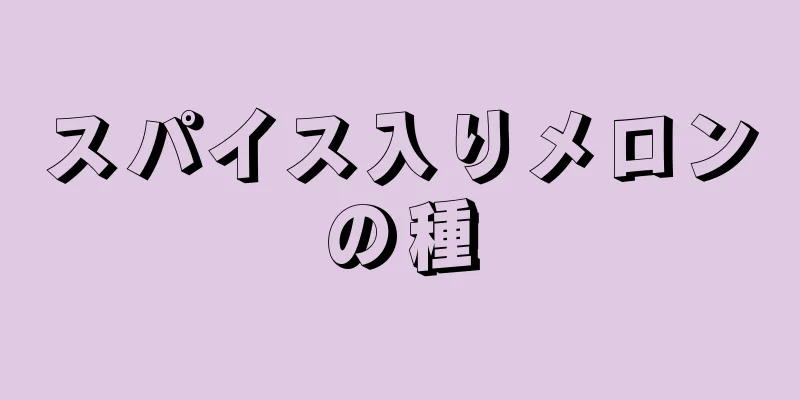 スパイス入りメロンの種