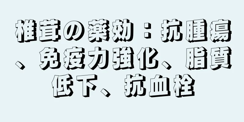 椎茸の薬効：抗腫瘍、免疫力強化、脂質低下、抗血栓