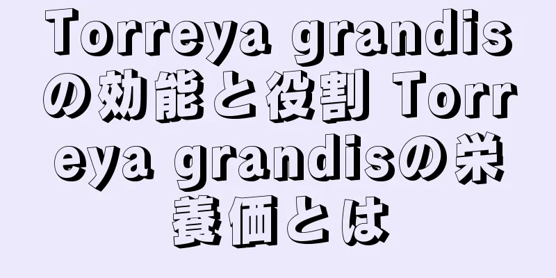 Torreya grandisの効能と役割 Torreya grandisの栄養価とは