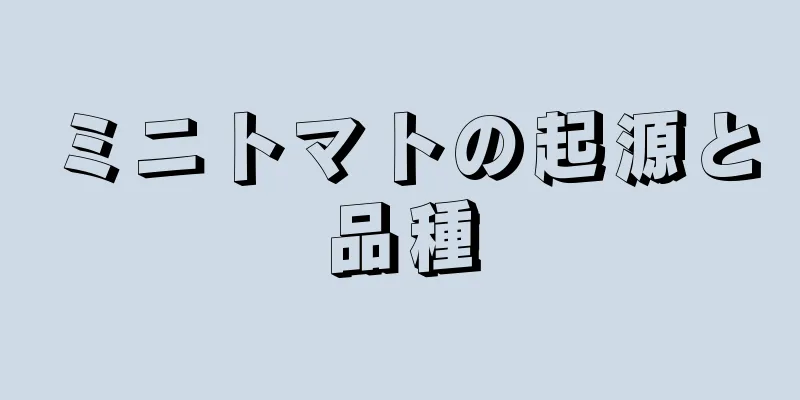 ミニトマトの起源と品種