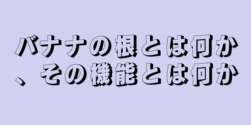 バナナの根とは何か、その機能とは何か