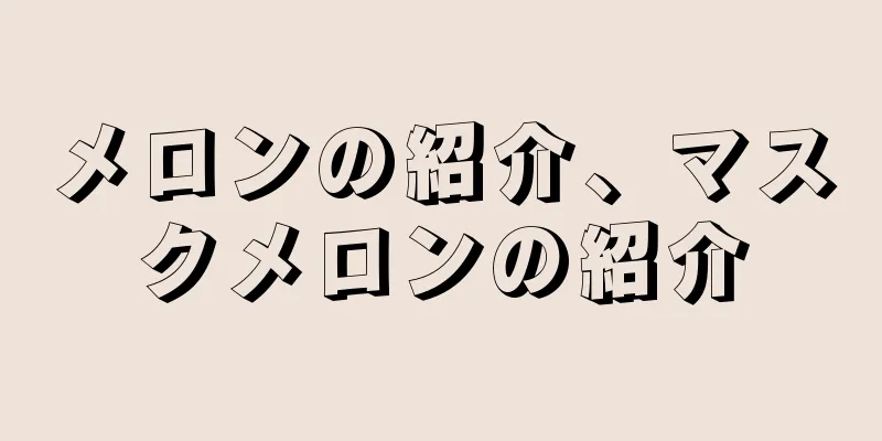 メロンの紹介、マスクメロンの紹介