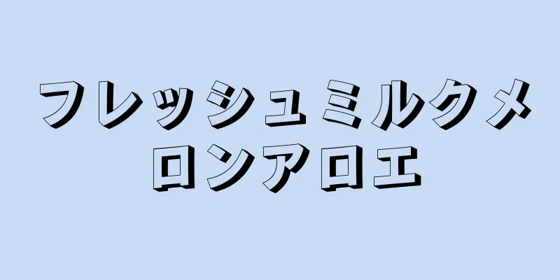 フレッシュミルクメロンアロエ