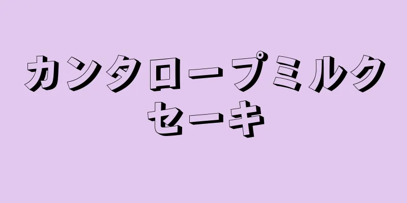 カンタロープミルクセーキ