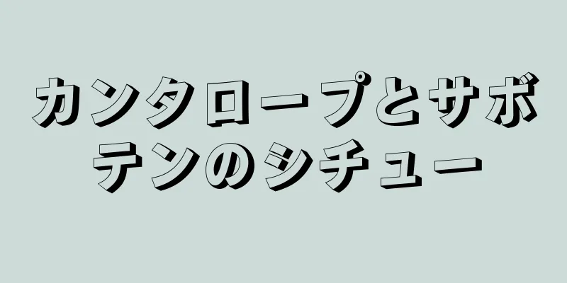 カンタロープとサボテンのシチュー