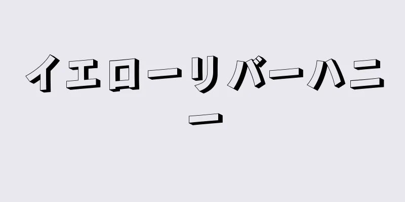 イエローリバーハニー