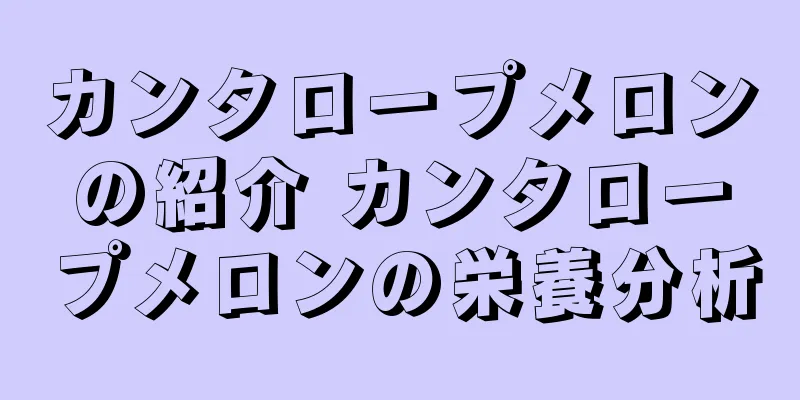 カンタロープメロンの紹介 カンタロープメロンの栄養分析