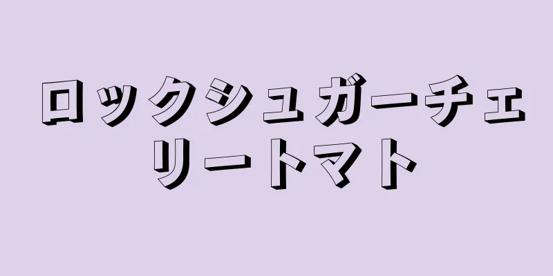 ロックシュガーチェリートマト