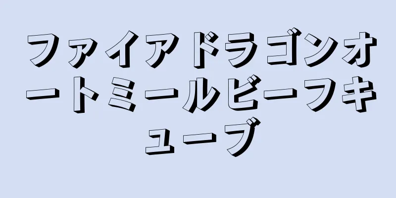 ファイアドラゴンオートミールビーフキューブ
