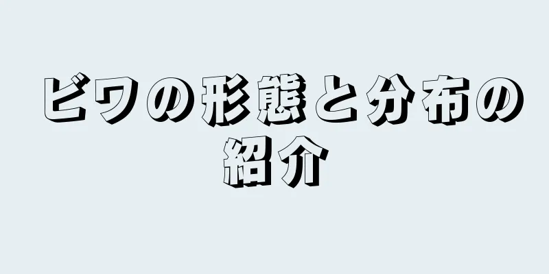 ビワの形態と分布の紹介