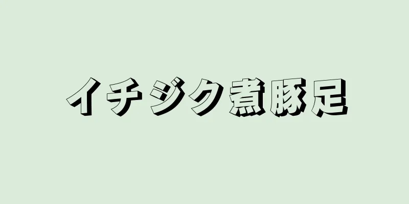 イチジク煮豚足