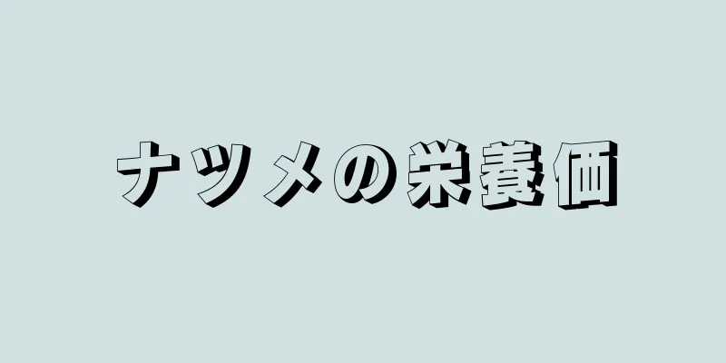 ナツメの栄養価