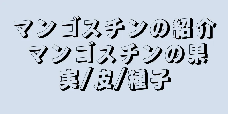 マンゴスチンの紹介 マンゴスチンの果実/皮/種子