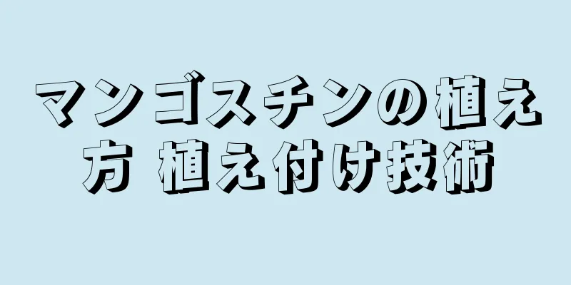 マンゴスチンの植え方 植え付け技術