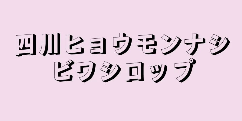 四川ヒョウモンナシビワシロップ