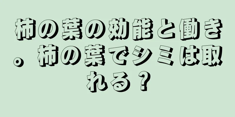 柿の葉の効能と働き。柿の葉でシミは取れる？