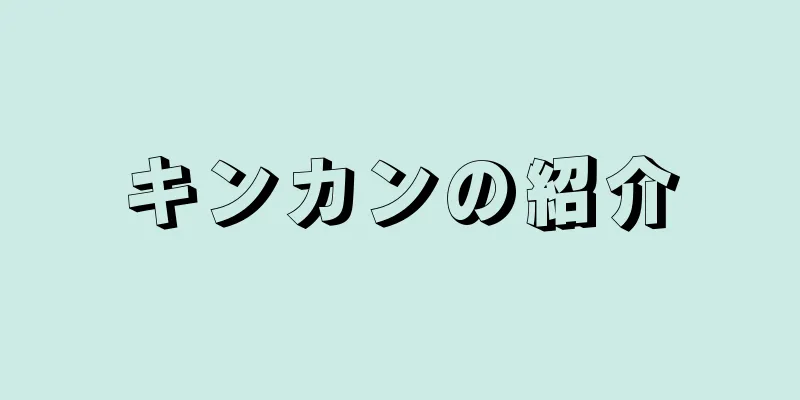 キンカンの紹介