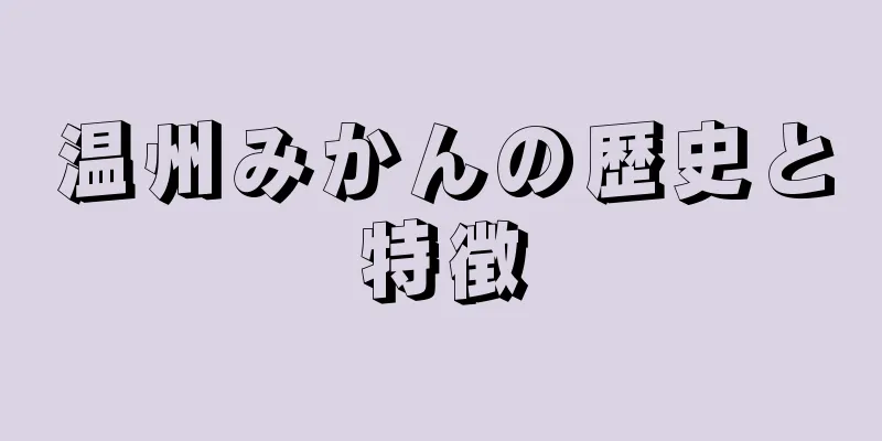 温州みかんの歴史と特徴