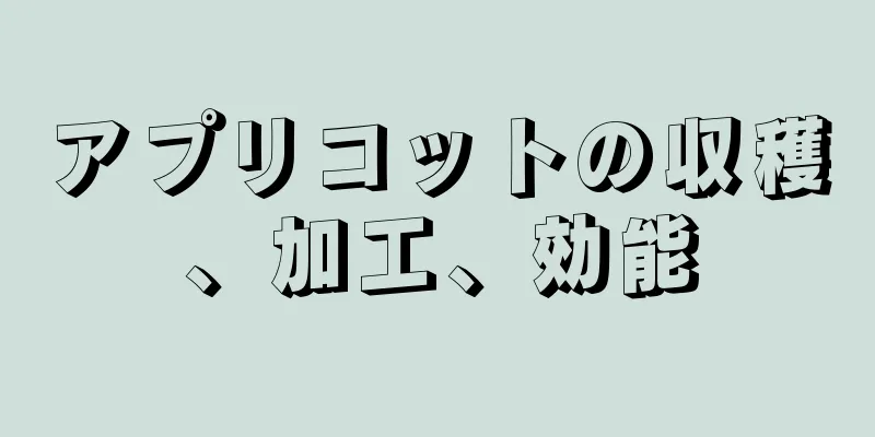 アプリコットの収穫、加工、効能