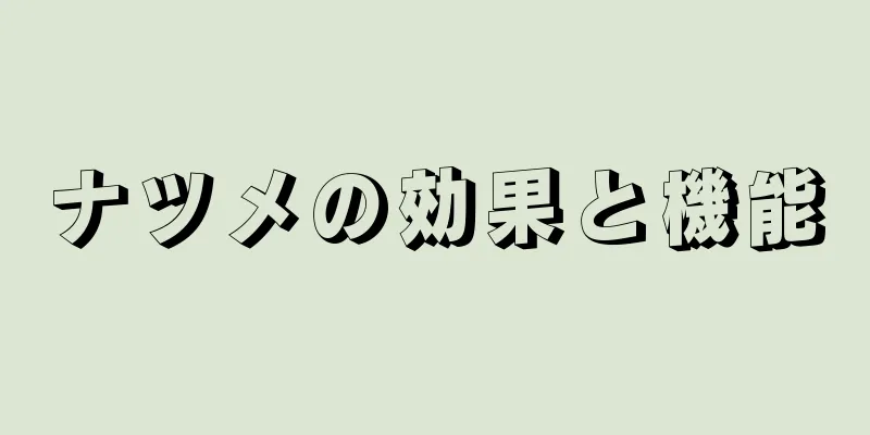 ナツメの効果と機能