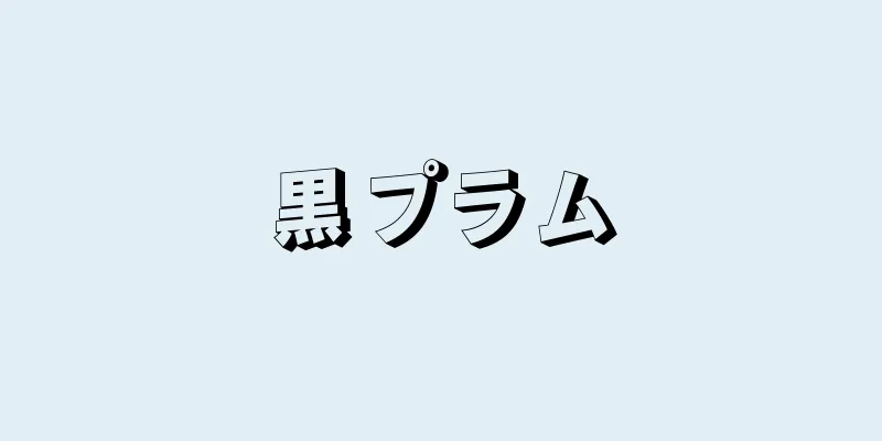 黒プラム