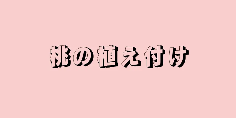 桃の植え付け