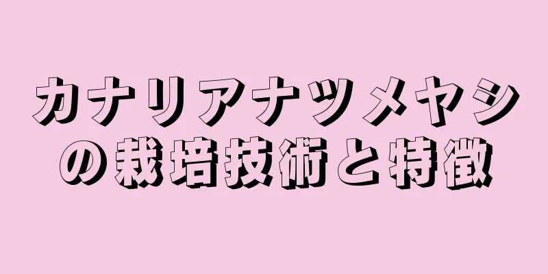 カナリアナツメヤシの栽培技術と特徴