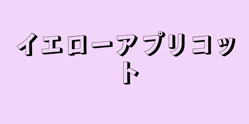 イエローアプリコット