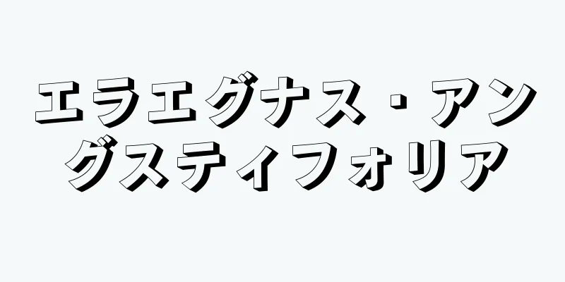 エラエグナス・アングスティフォリア