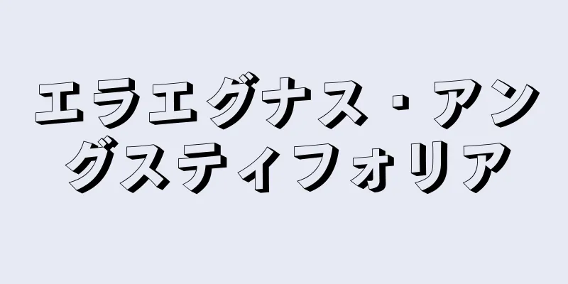 エラエグナス・アングスティフォリア