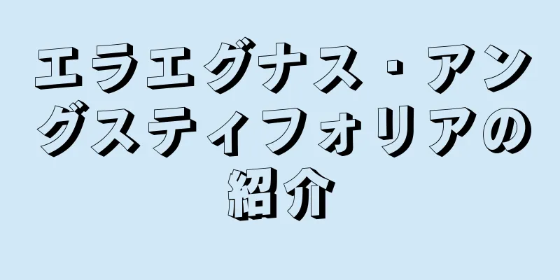 エラエグナス・アングスティフォリアの紹介