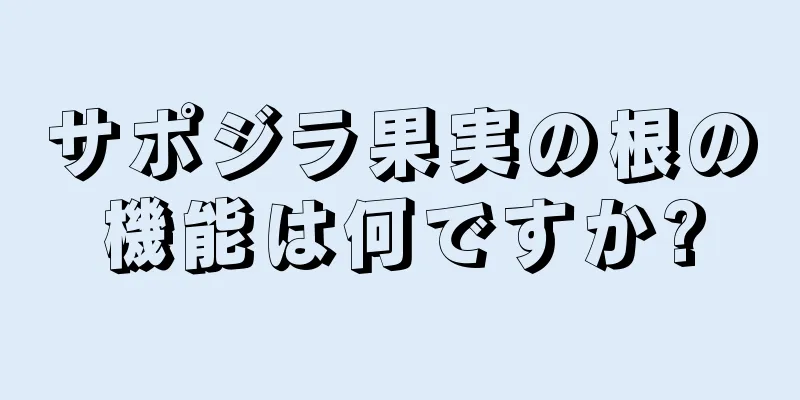 サポジラ果実の根の機能は何ですか?