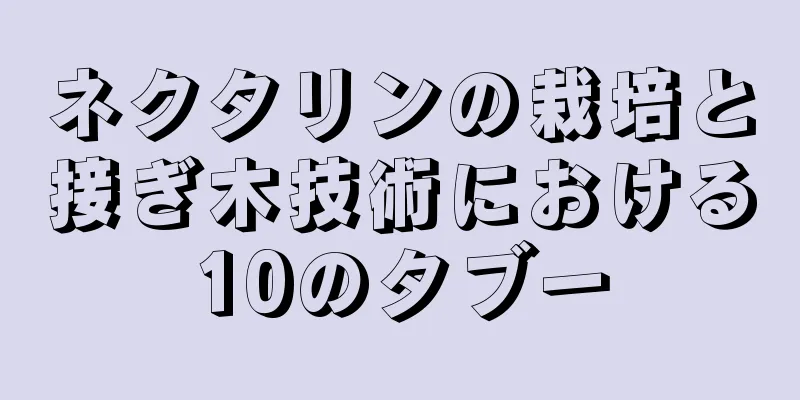 ネクタリンの栽培と接ぎ木技術における10のタブー