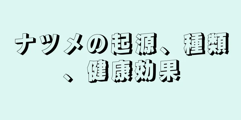 ナツメの起源、種類、健康効果