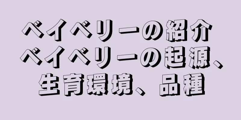 ベイベリーの紹介 ベイベリーの起源、生育環境、品種