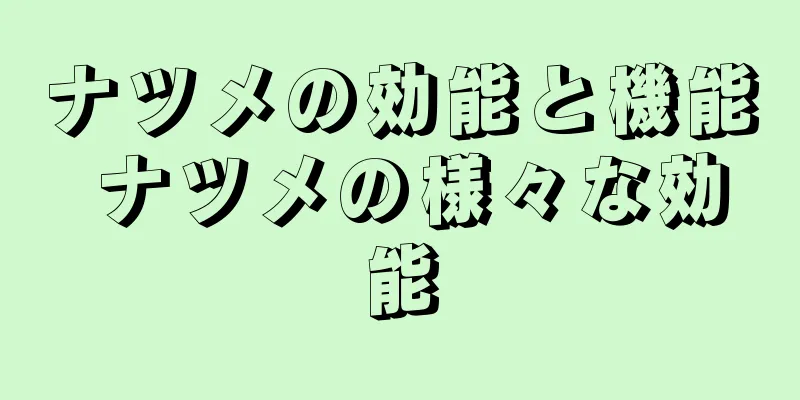 ナツメの効能と機能 ナツメの様々な効能
