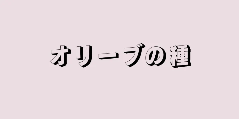 オリーブの種