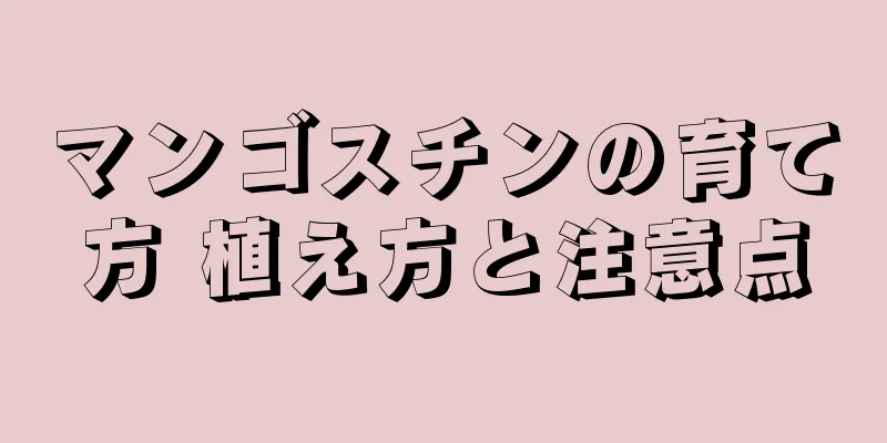 マンゴスチンの育て方 植え方と注意点