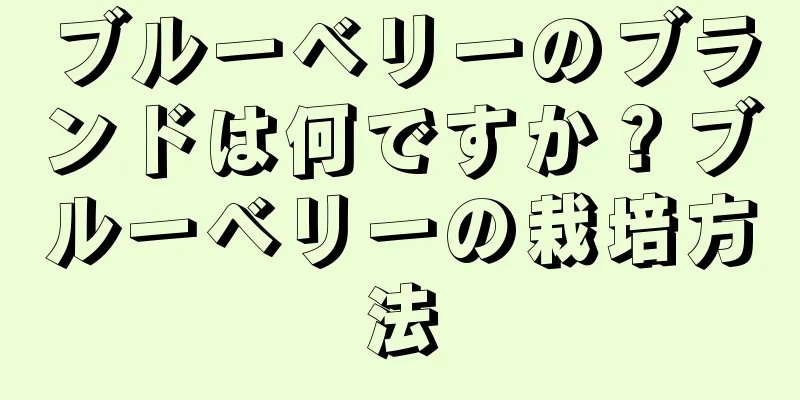 ブルーベリーのブランドは何ですか？ブルーベリーの栽培方法