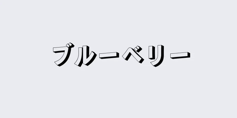 ブルーベリー