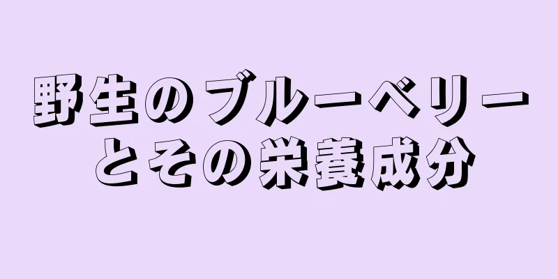 野生のブルーベリーとその栄養成分
