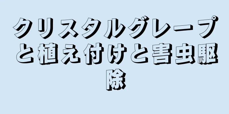 クリスタルグレープと植え付けと害虫駆除