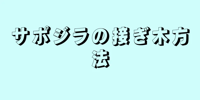 サポジラの接ぎ木方法
