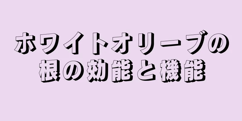 ホワイトオリーブの根の効能と機能