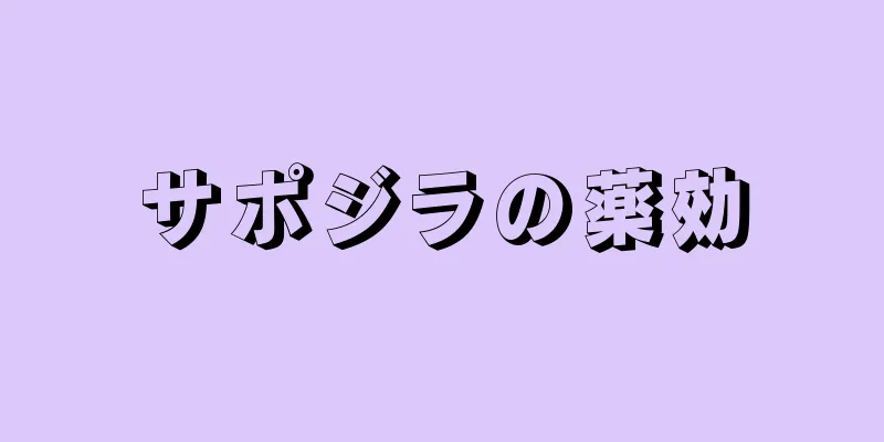 サポジラの薬効