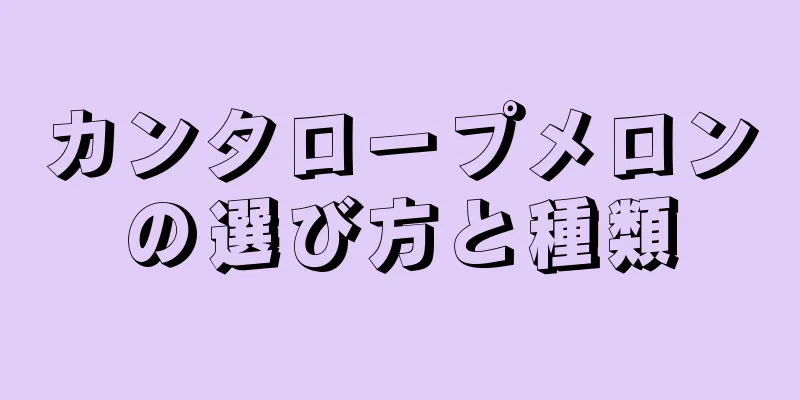 カンタロープメロンの選び方と種類