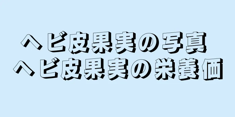 ヘビ皮果実の写真 ヘビ皮果実の栄養価
