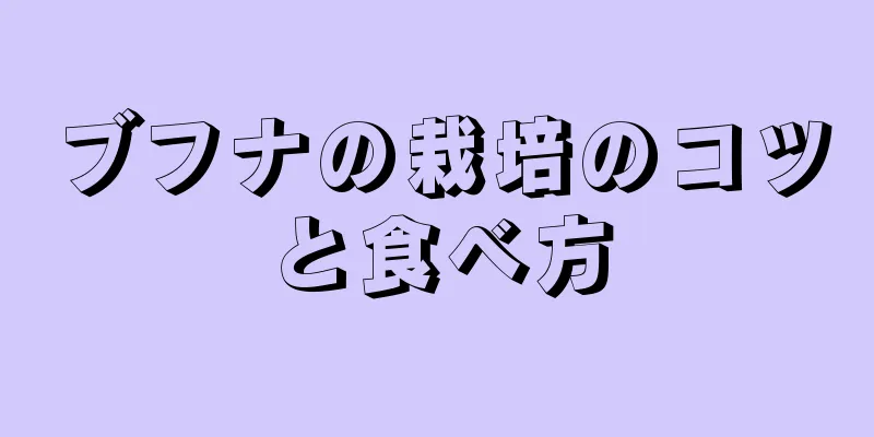 ブフナの栽培のコツと食べ方