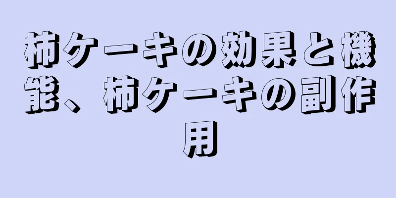 柿ケーキの効果と機能、柿ケーキの副作用