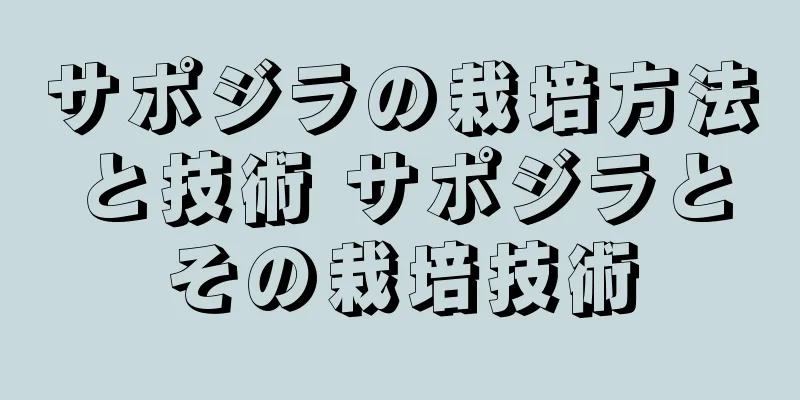 サポジラの栽培方法と技術 サポジラとその栽培技術